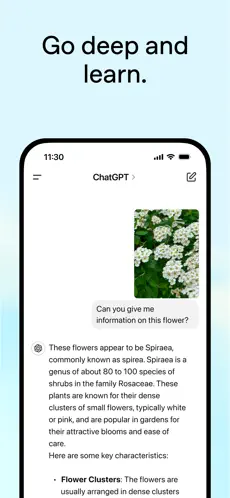 ChatGPT下载 - ChatGPT安卓版(中文)下载 Hero图